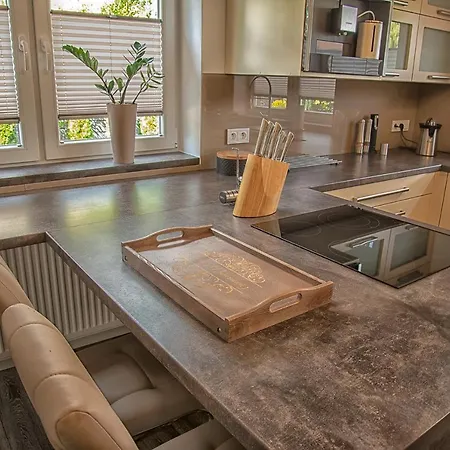 Villa Luxury Garden & Cieszyn *