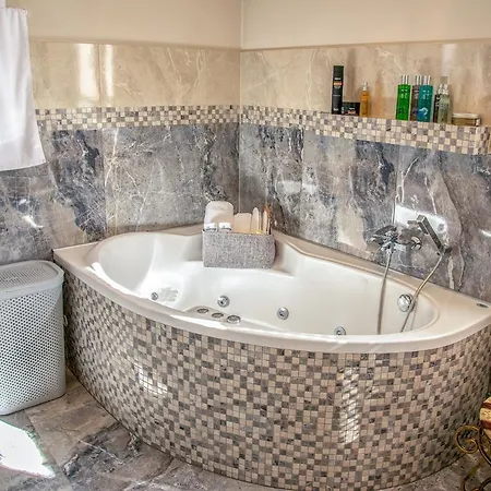 Luxury Garden & Cieszyn Villa *