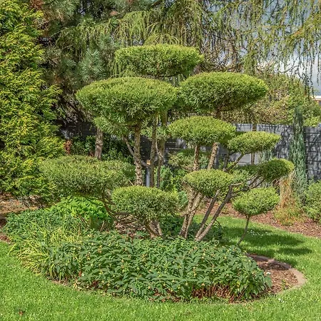 Luxury Garden & Cieszyn * Cieszyn